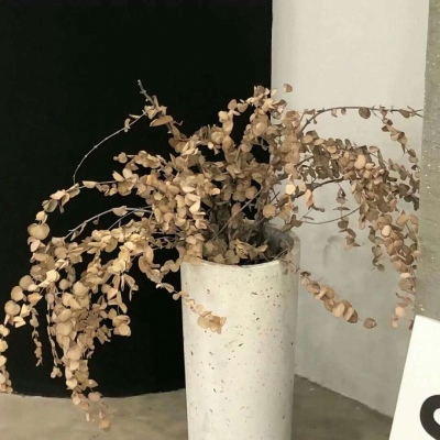 兽设海洋元素设计福瑞交流群